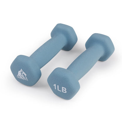 Neoprene Hex Dumbbell Pair with Anti-Slip Grip