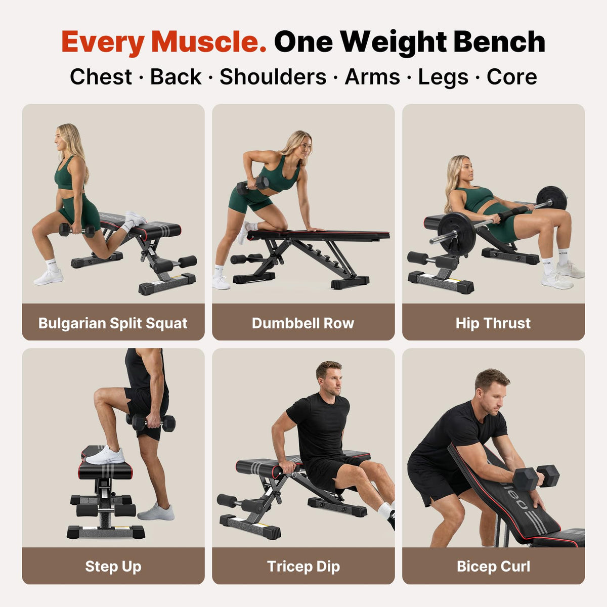 827LB Adjustable Weight Bench for Strength Training