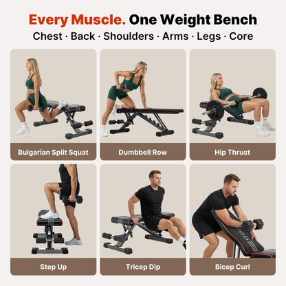 827LB Adjustable Weight Bench for Strength Training