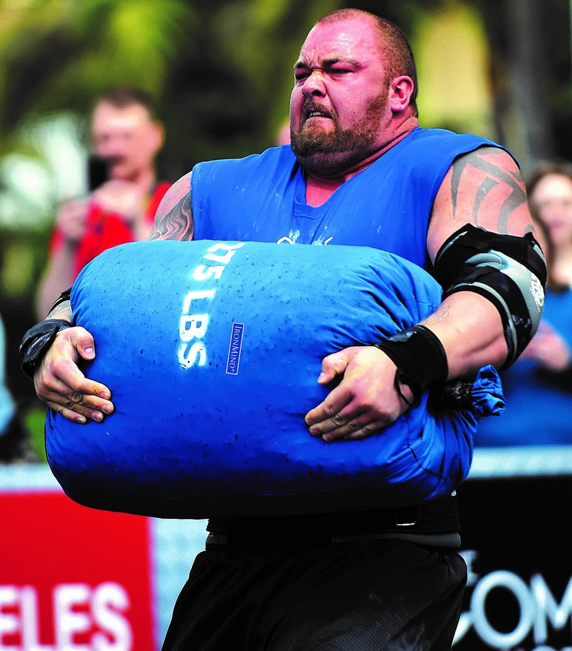 Heavy-Duty Sandbag Set for Functional Strength Training