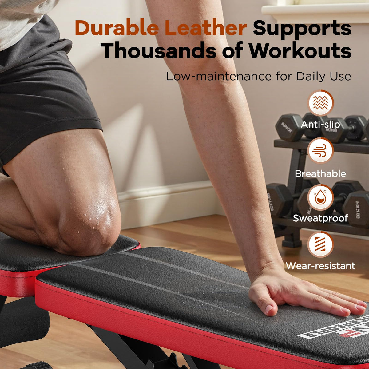 660LB Foldable Weight Bench with 8 Backrest Positions